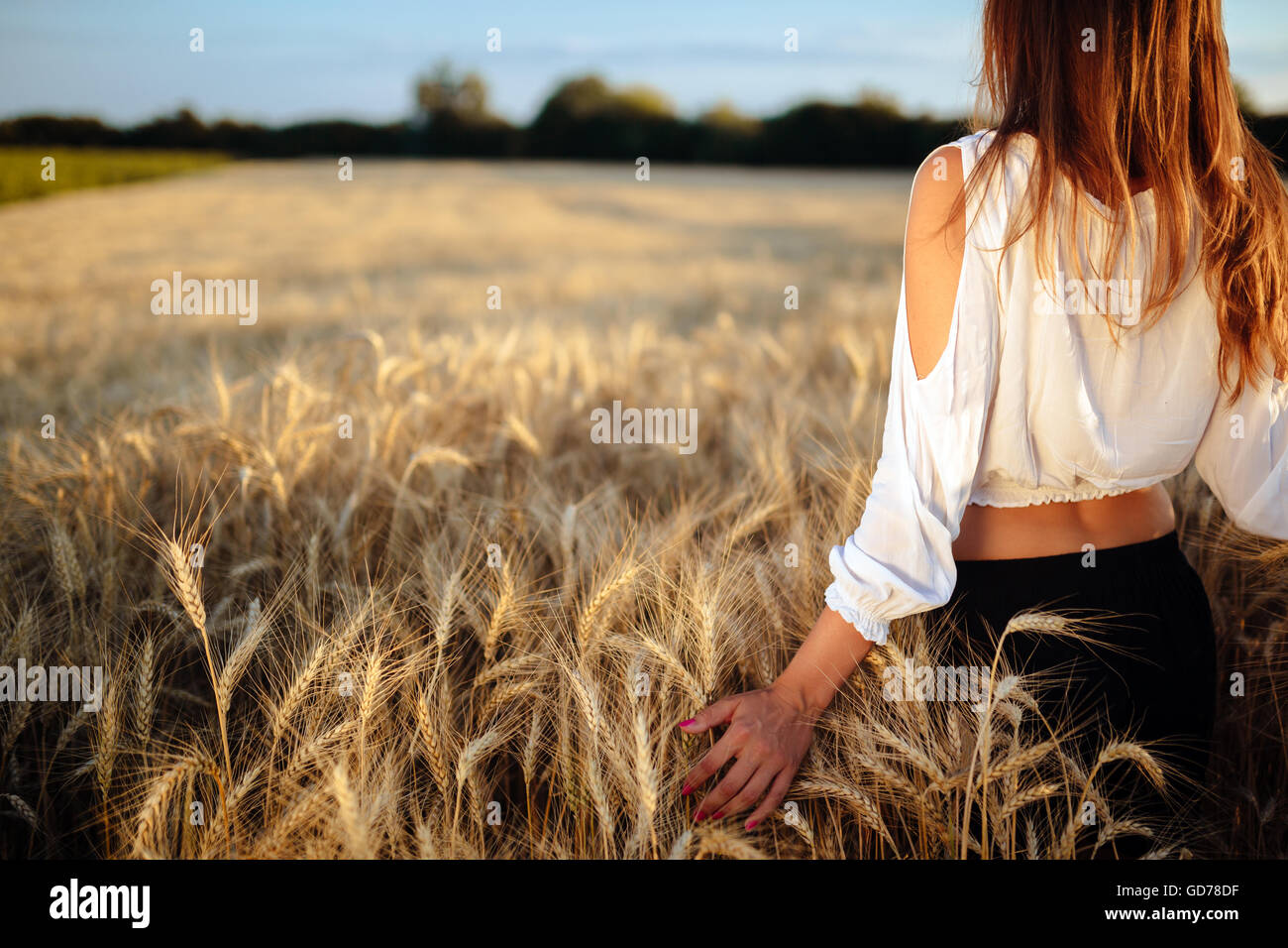 Walking in the fields hi-res stock photography and images - Alamy