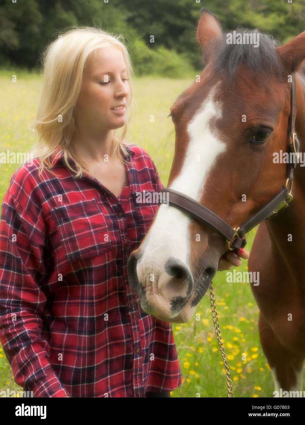 Woman and her horse. Stock Photo