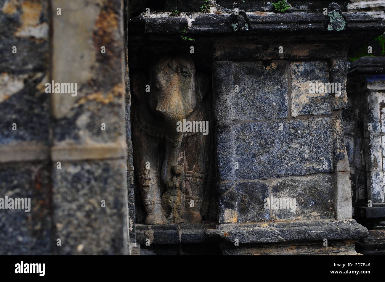 Elefant statue , Buddhist Temple, Sri Lanka, Kandy, UNESCO Stock Photo