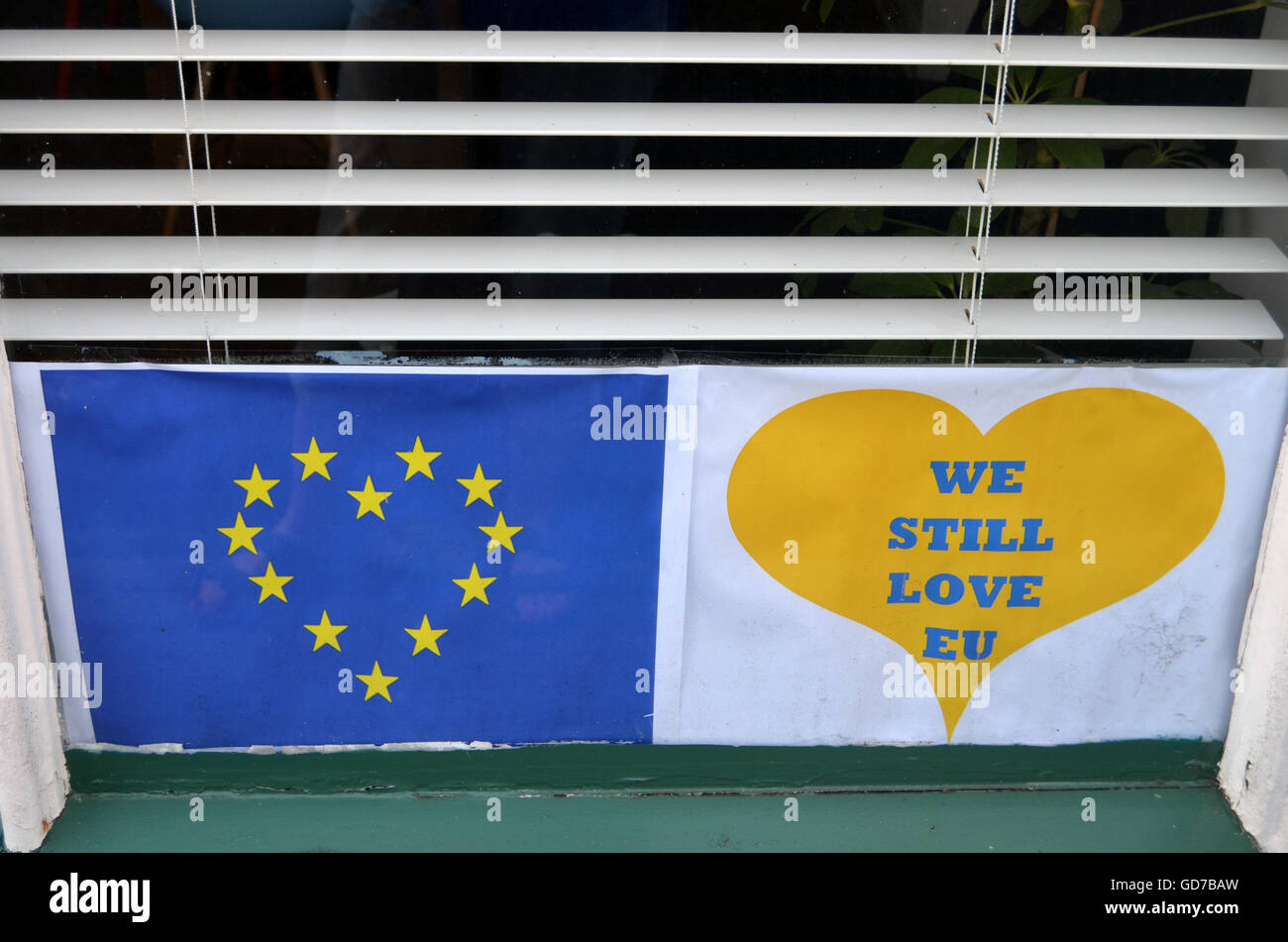 Pro EU posters following Brexit referendum, Norfolk June 2016 UK Stock Photo