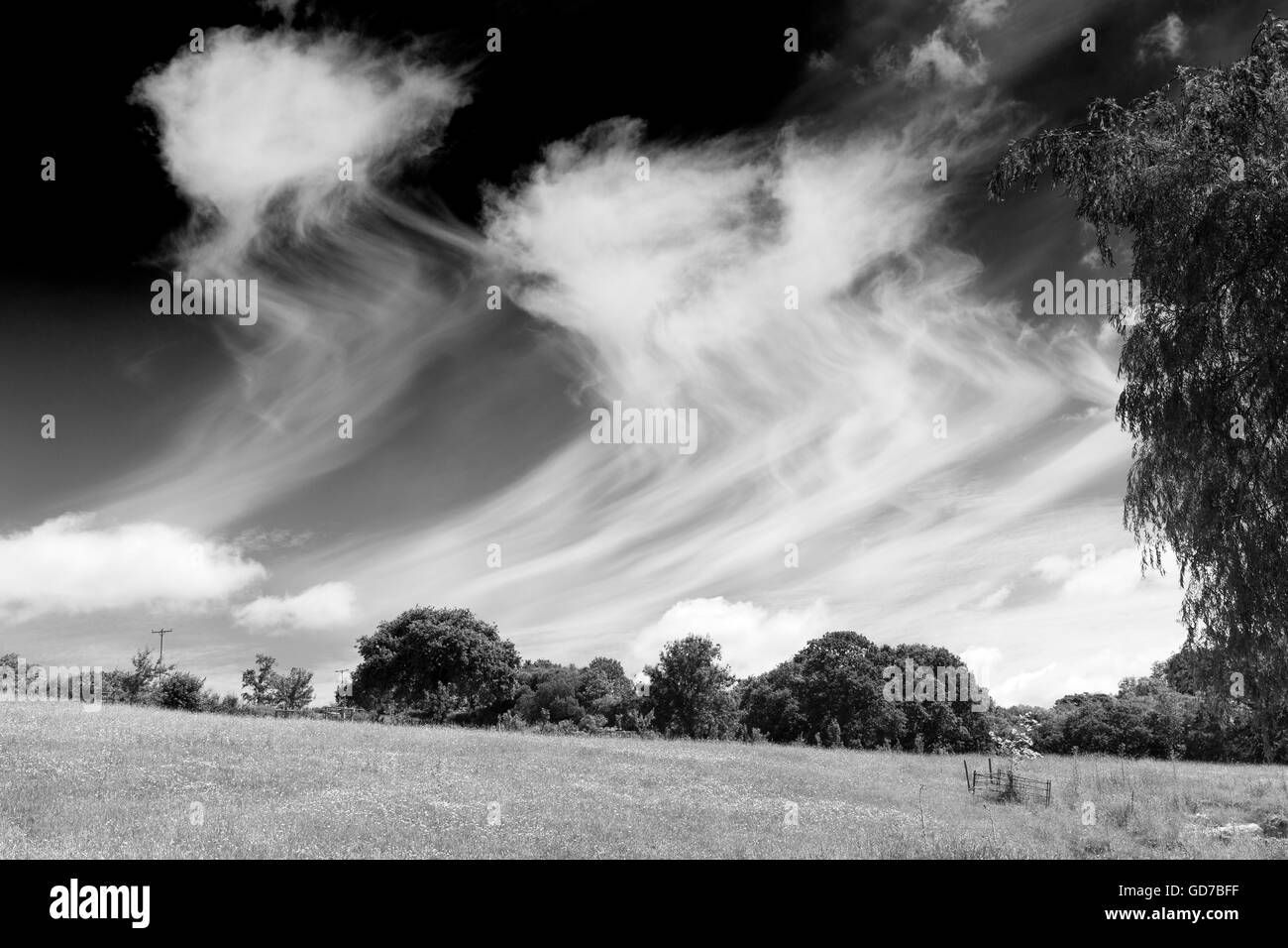 Cirrus clouds thin and wispy Black and White Stock Photos & Images - Alamy