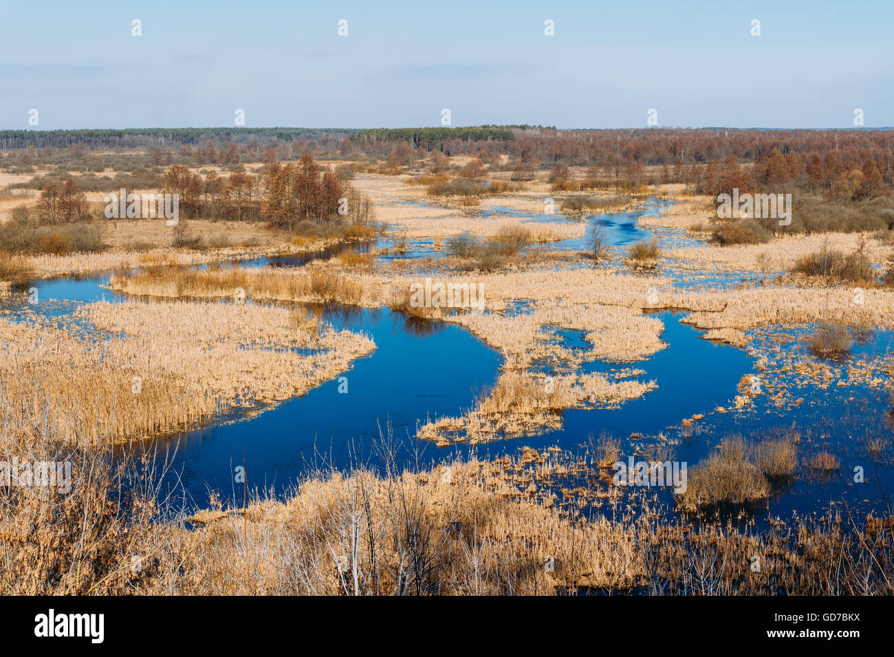 Panorama of Spills Of River In Spring Season In Belarus. Sunny Spring Day. Belarusian Beautiful Landscape. Dry grass Stock Photo