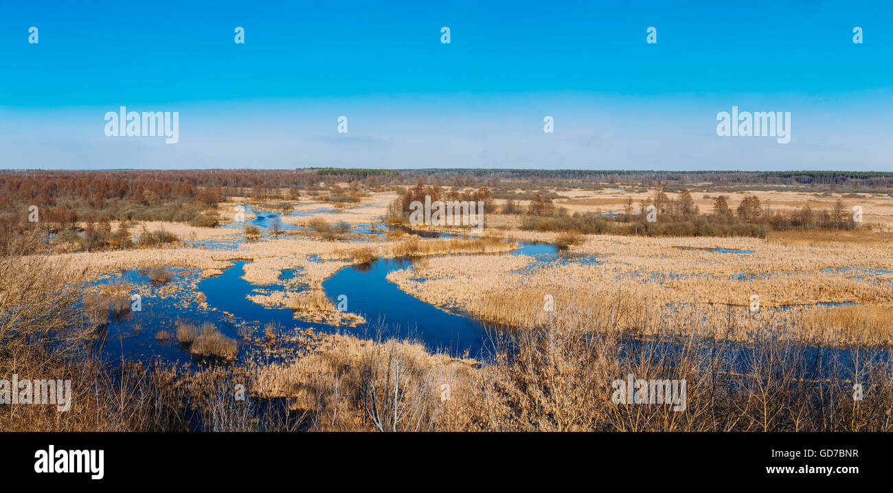 Panorama of Spills Of River In Spring Season In Belarus. Sunny Spring Day. Belarusian Beautiful Landscape. Stock Photo