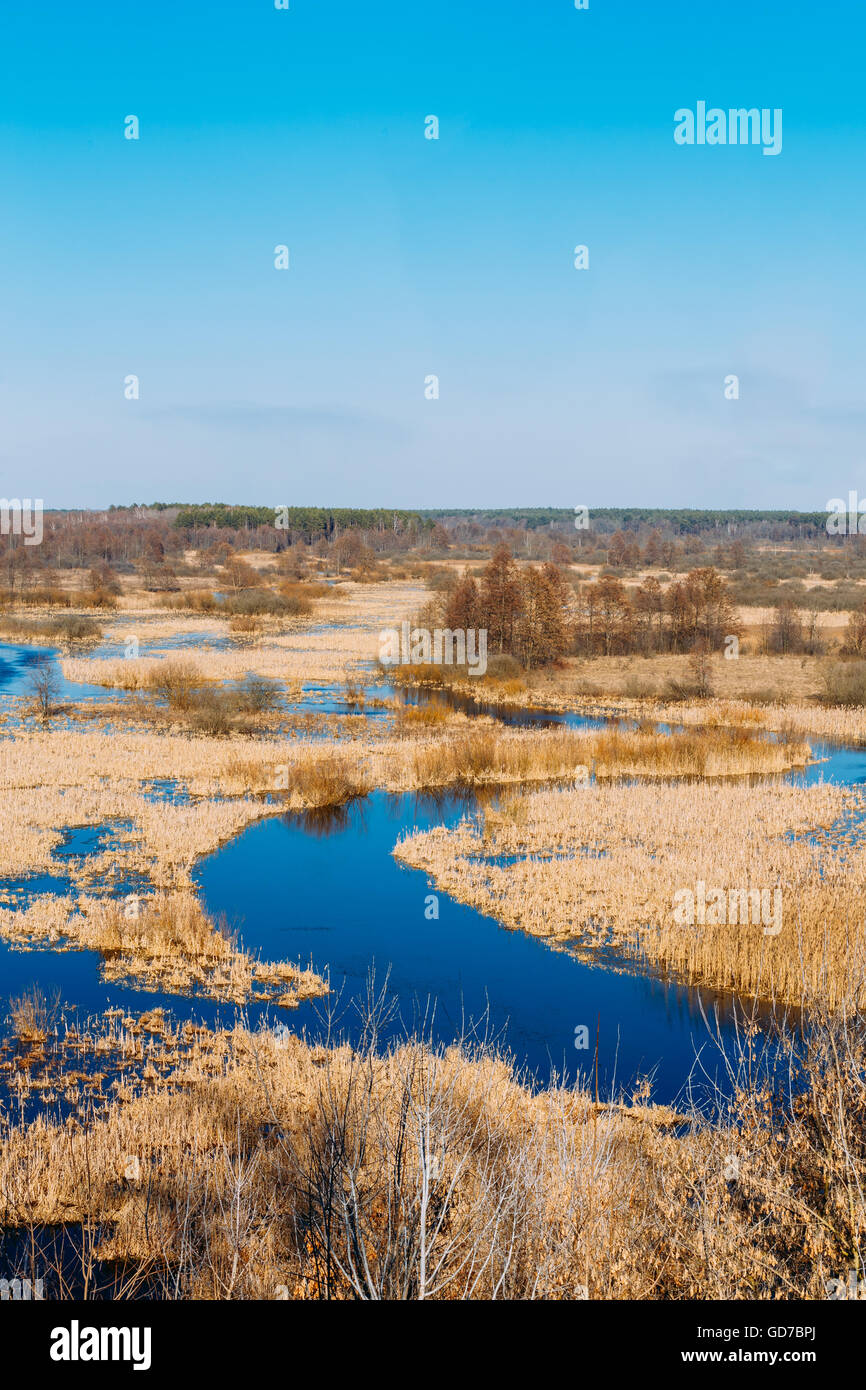 Spills Of River In Spring Season In Belarus. Sunny Spring Day. Belarusian Beautiful Landscape. Stock Photo