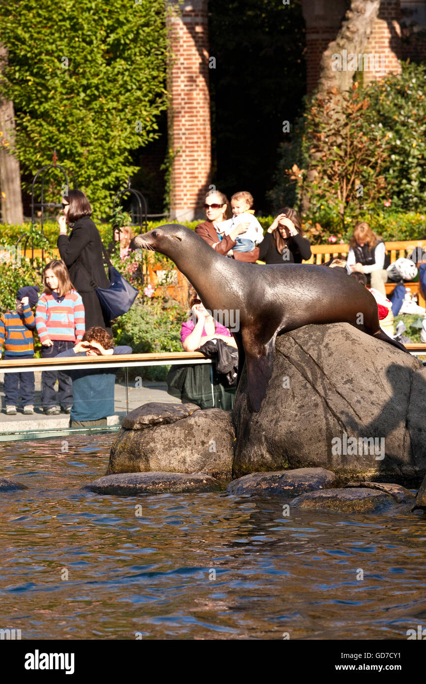 Central Park Zoo, NYC, USA Stock Photo Alamy