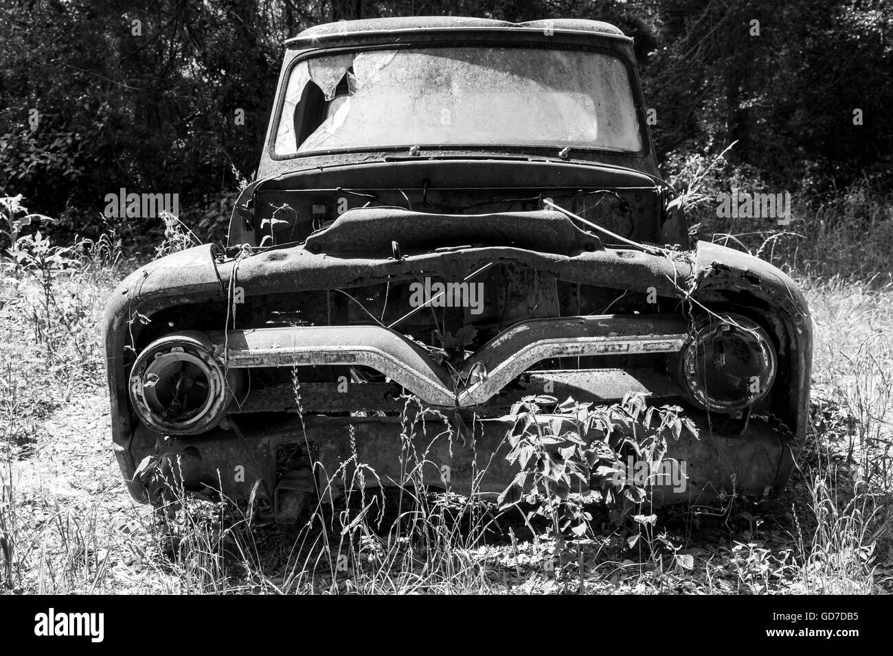 Crawfordville, Florida - USA. May 2016 - Old rusted pickup ruck abandoned in the forest of Wakulla Stock Photo