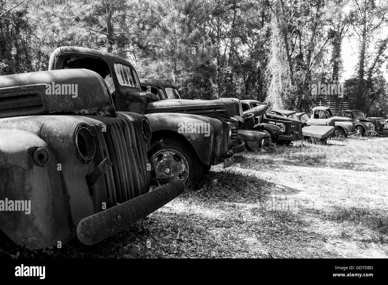 Crawfordville, Florida - USA. May 2016 - Old calssic rusted trucks and cars abandoned on the side of the road Stock Photo