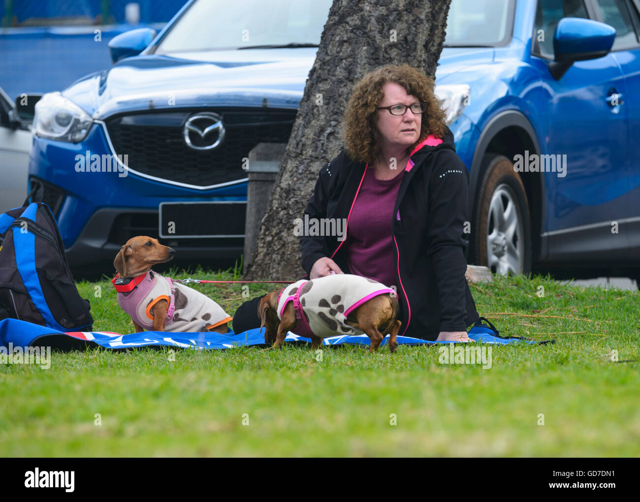 A woman sitting on a blanket with her two dogs wearing spotted coats Stock Photo