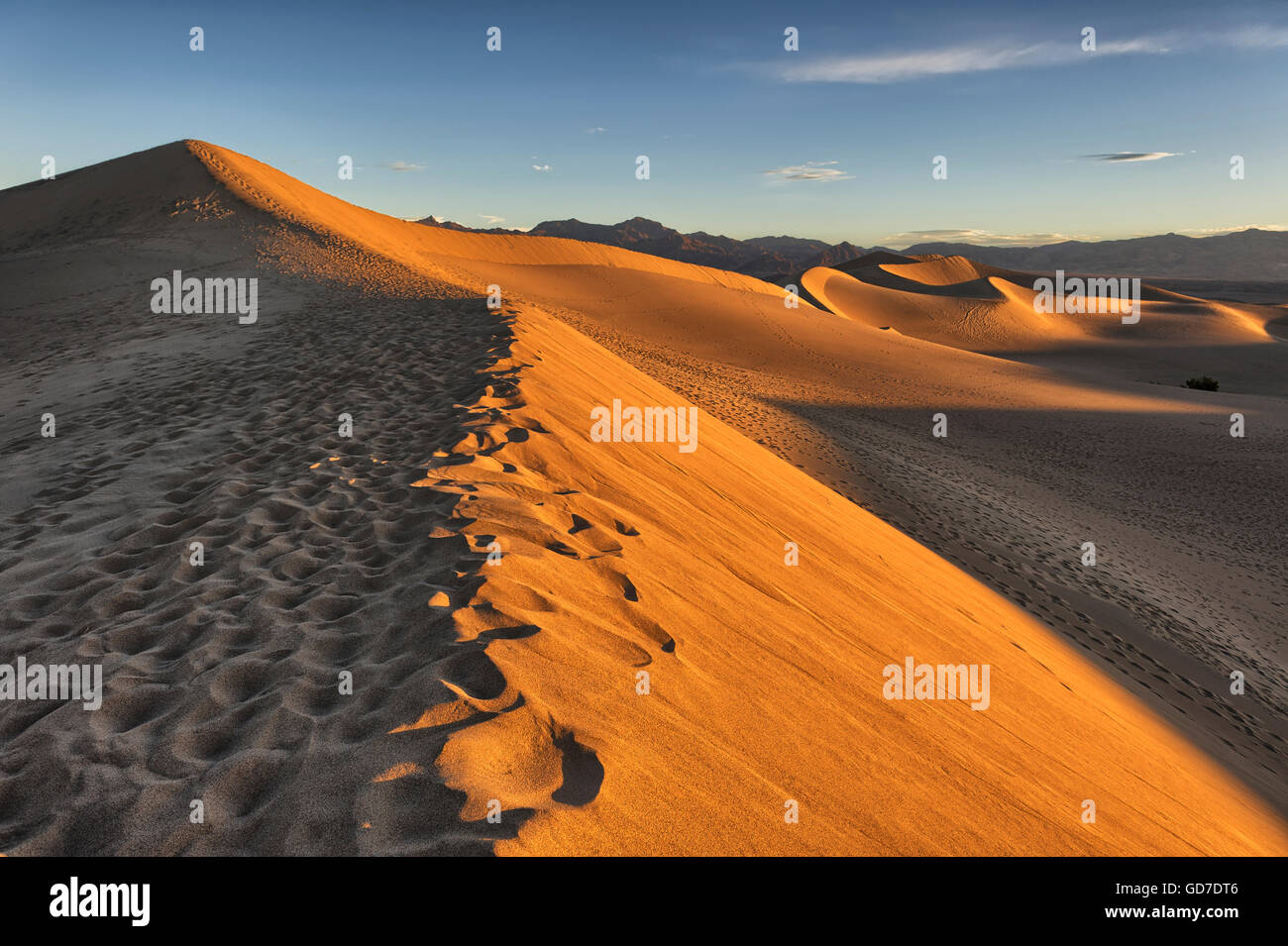 Early morning light over Mesquite Flat Sand Dunes, Death Valley
