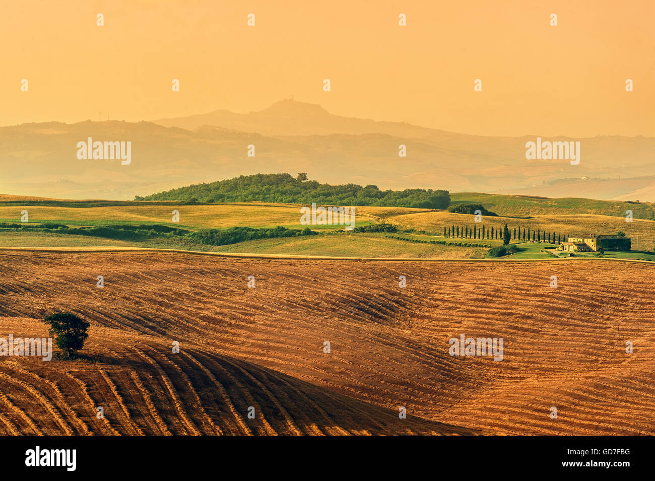 Landscape Tuscany in summer Stock Photo - Alamy