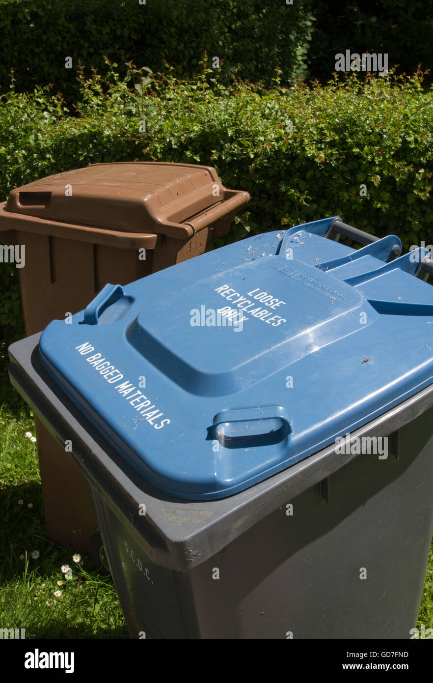 Two wheelie bins in the sun Stock Photo Alamy
