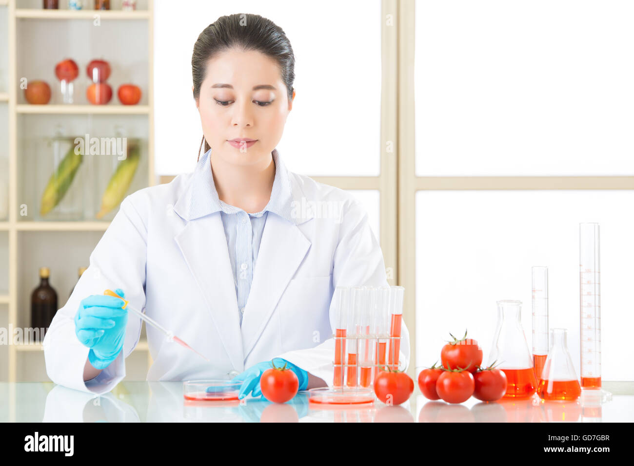 tomato genetic modification food research need more test laboratory ...