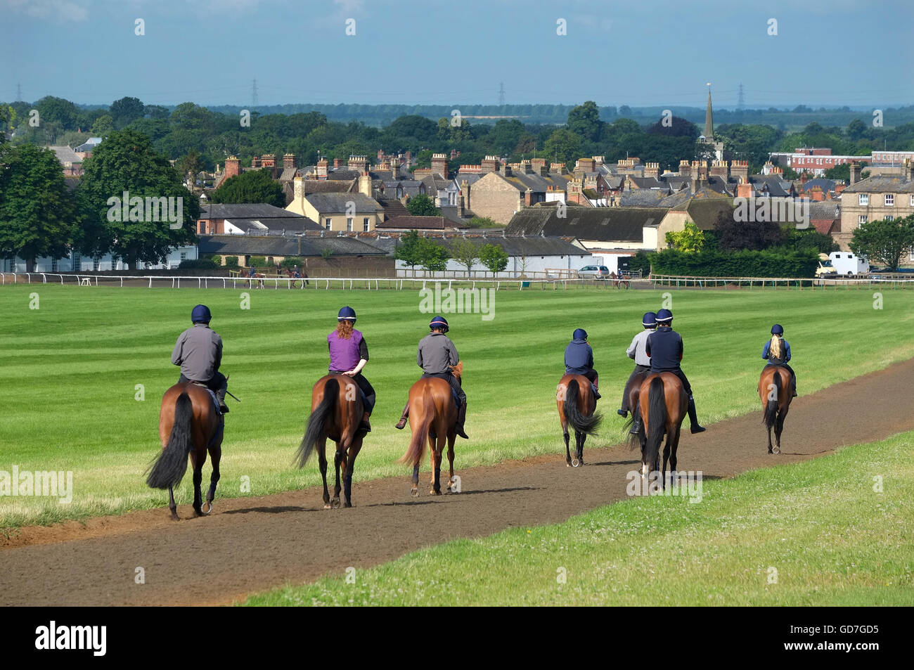 the gallops at newmarket, suffolk, england Stock Photo