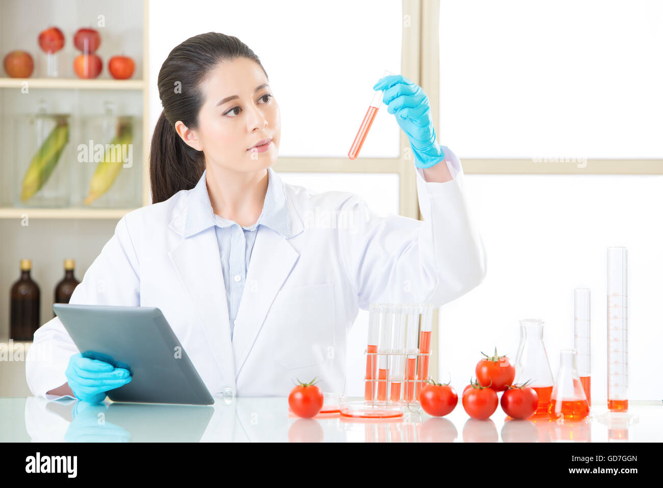 looking at lab tube and find the answer for genetic modification food ...