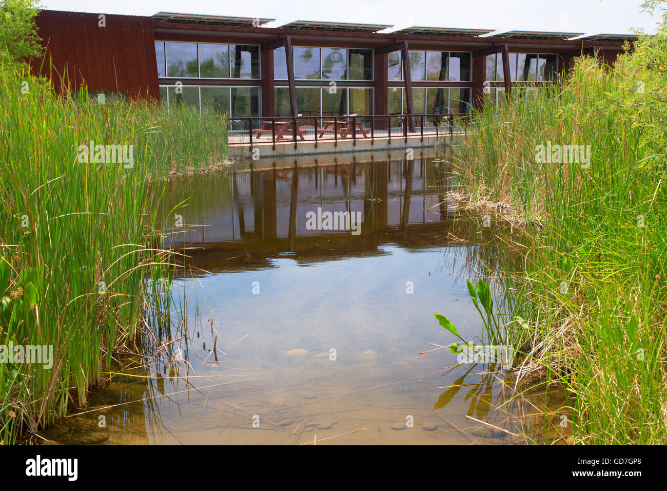 Visitor Center with pond, Rio Salado Habitat Restoration Area, Phoenix, Arizona Stock Photo