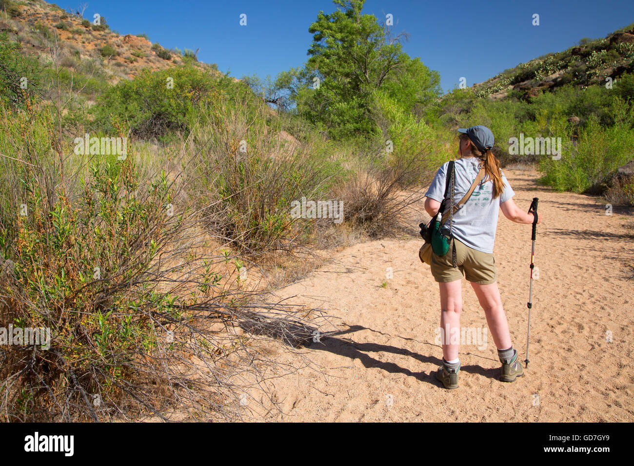 Badger Springs Trail, Agua Fria National Monument, Arizona Stock Photo