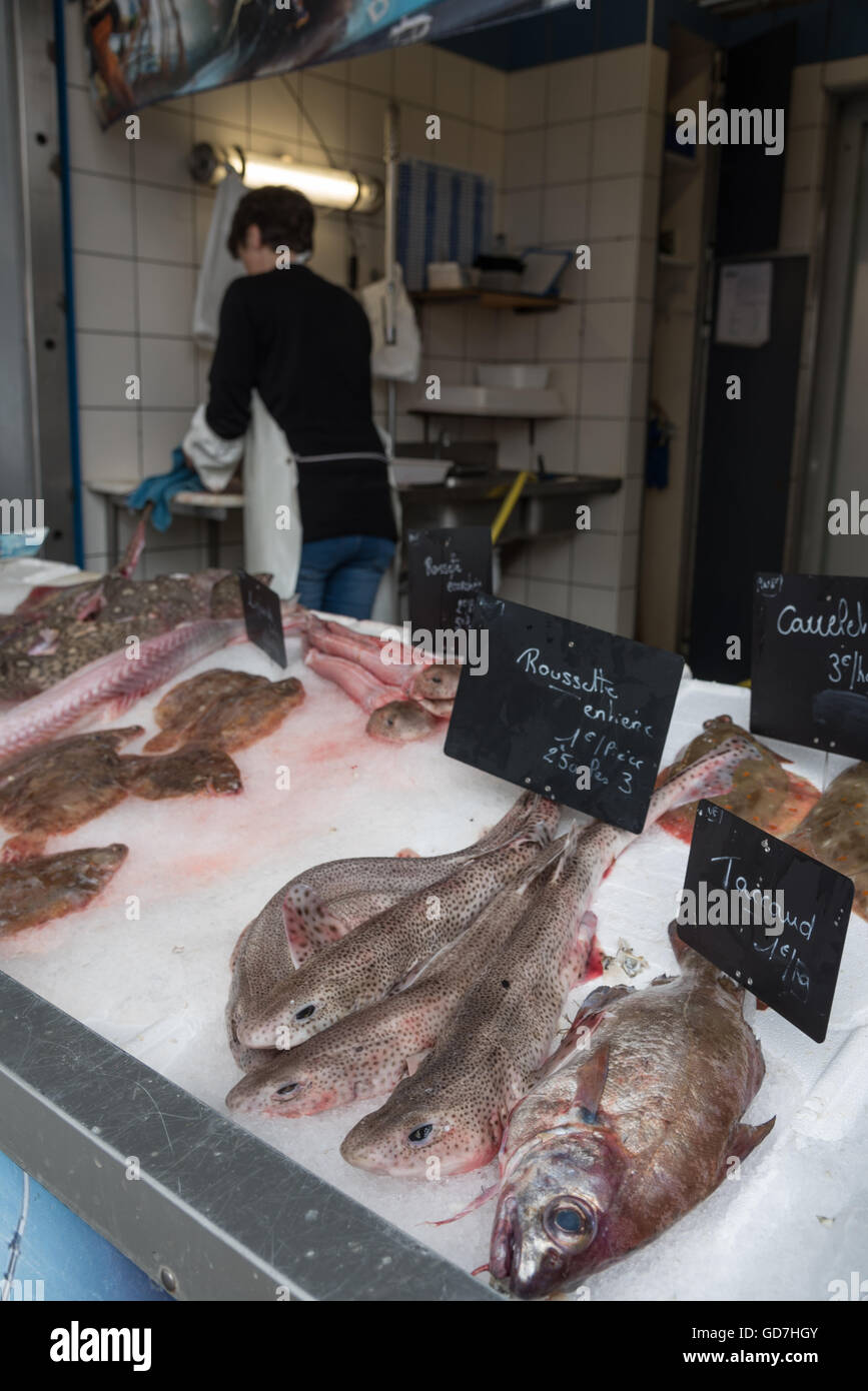 A variety of freshly caught fish for sale at the Etals de Poissons / fish market. Boulogne-Sur-Mer, France. Stock Photo