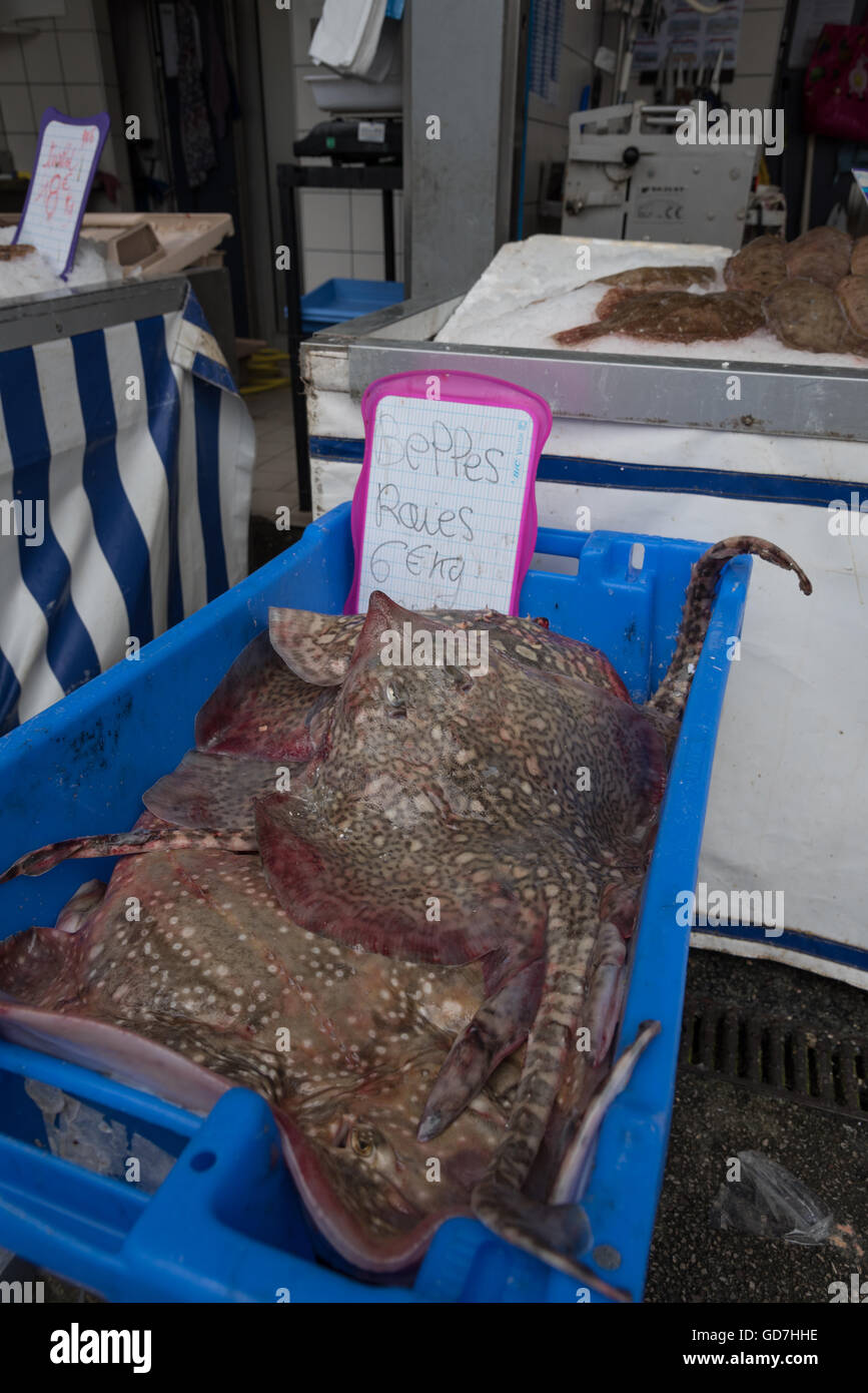 A variety of freshly caught fish for sale at the Etals de Poissons / fish market. Boulogne-Sur-Mer, France. Stock Photo