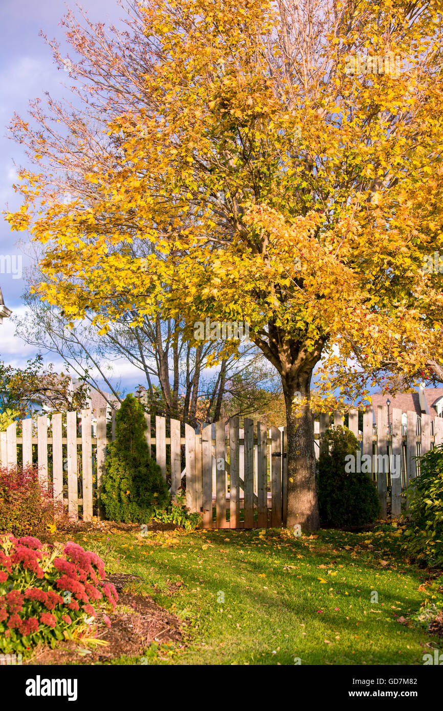 Fall foliage and the entrance to a backyard garden. Stock Photo