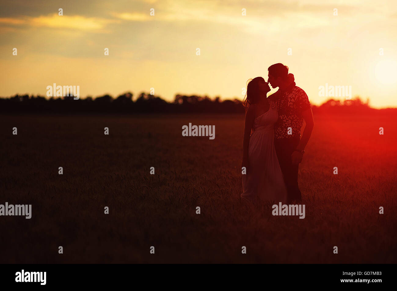 loving couple in a field at sunset Stock Photo - Alamy
