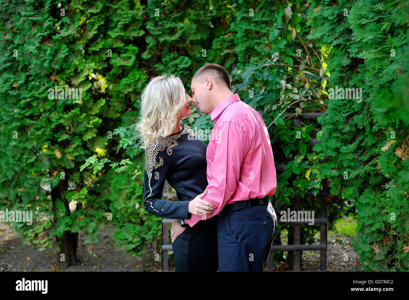 Couple hugging in a park seated in a bench Stock Photo - Alamy