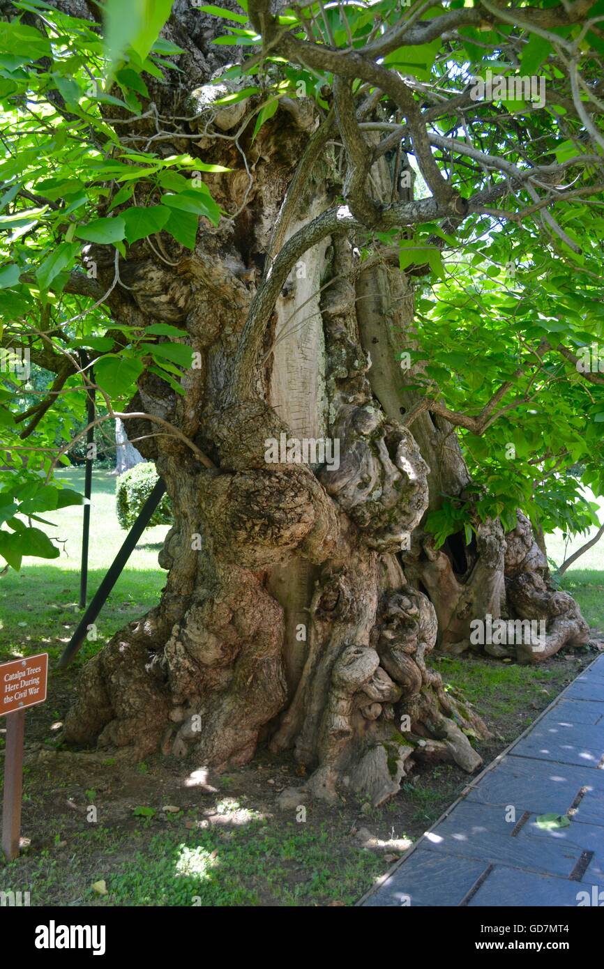 formal garden, walled garden, old English garden Stock Photo - Alamy