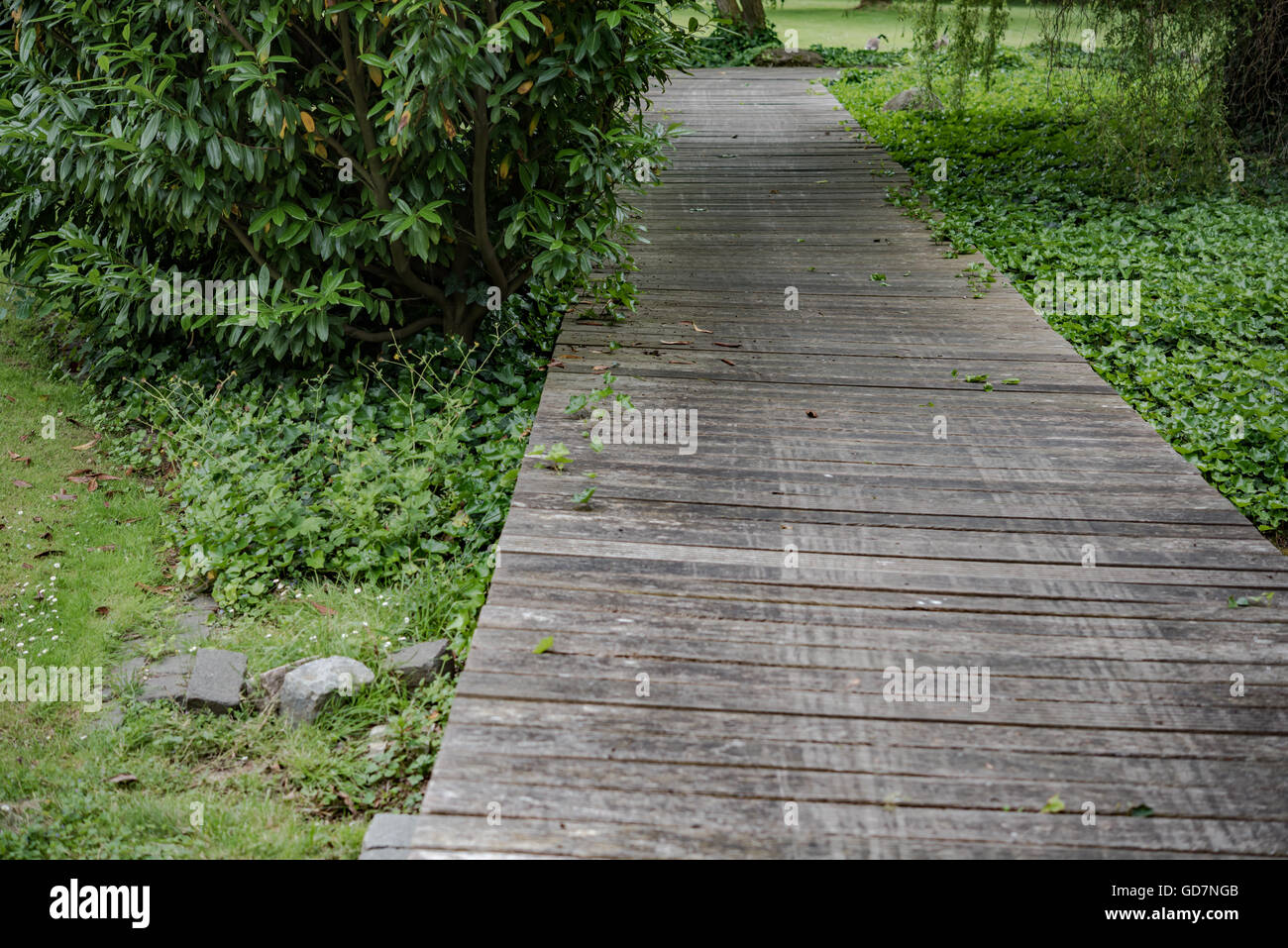 Wooden bridge in a forest along the trekking path Stock Photo - Alamy