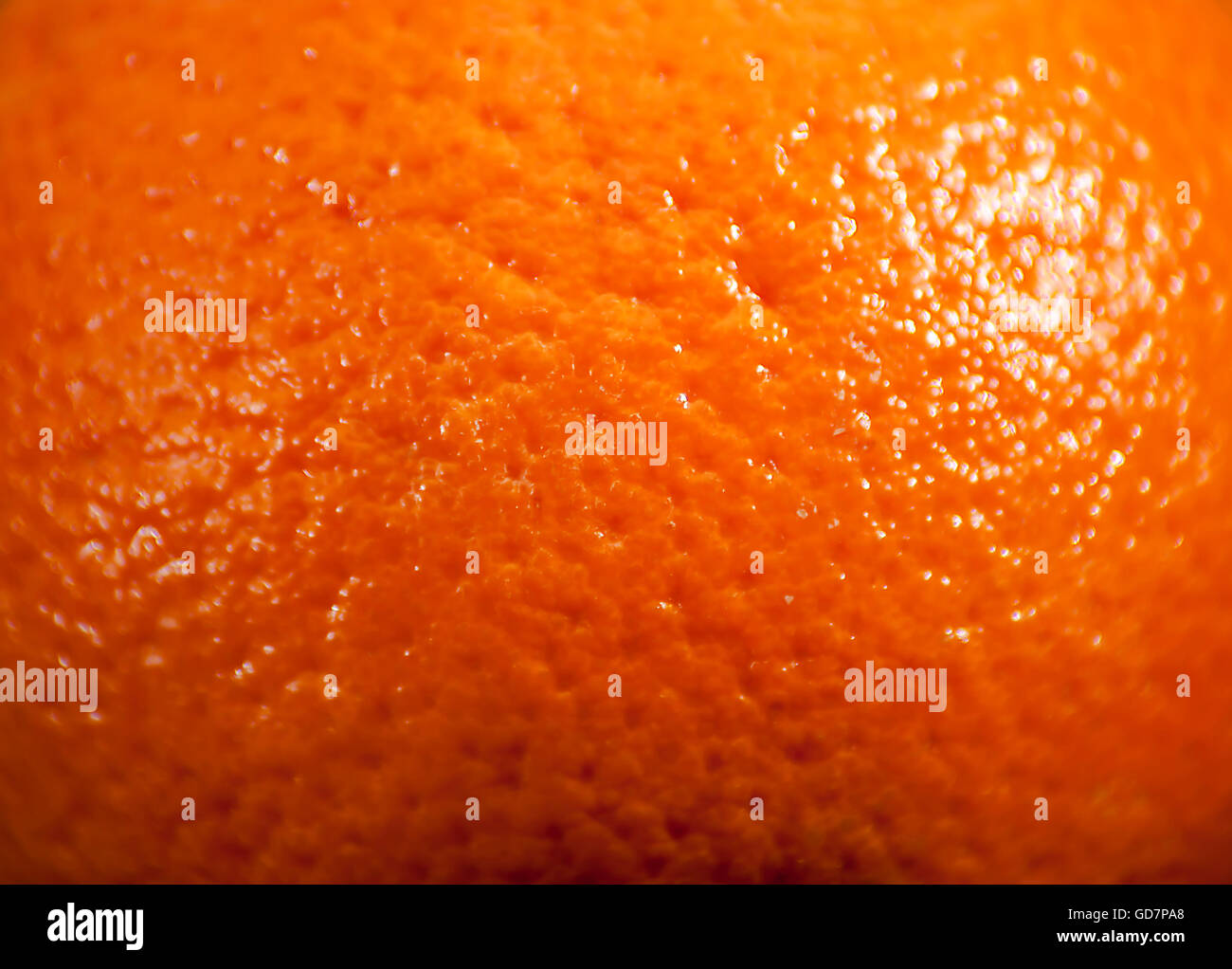 Pink grapefruit Skin Stock Photo Alamy