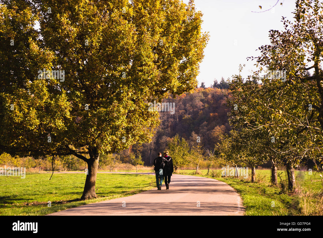 Lovers walking in autumn park Stock Photo - Alamy