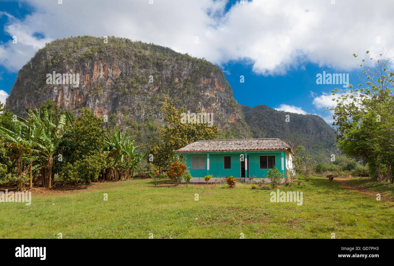 Green country house in Vinales, and in the background a mogote. Province Pinar del Rio, Cuba Stock Photo