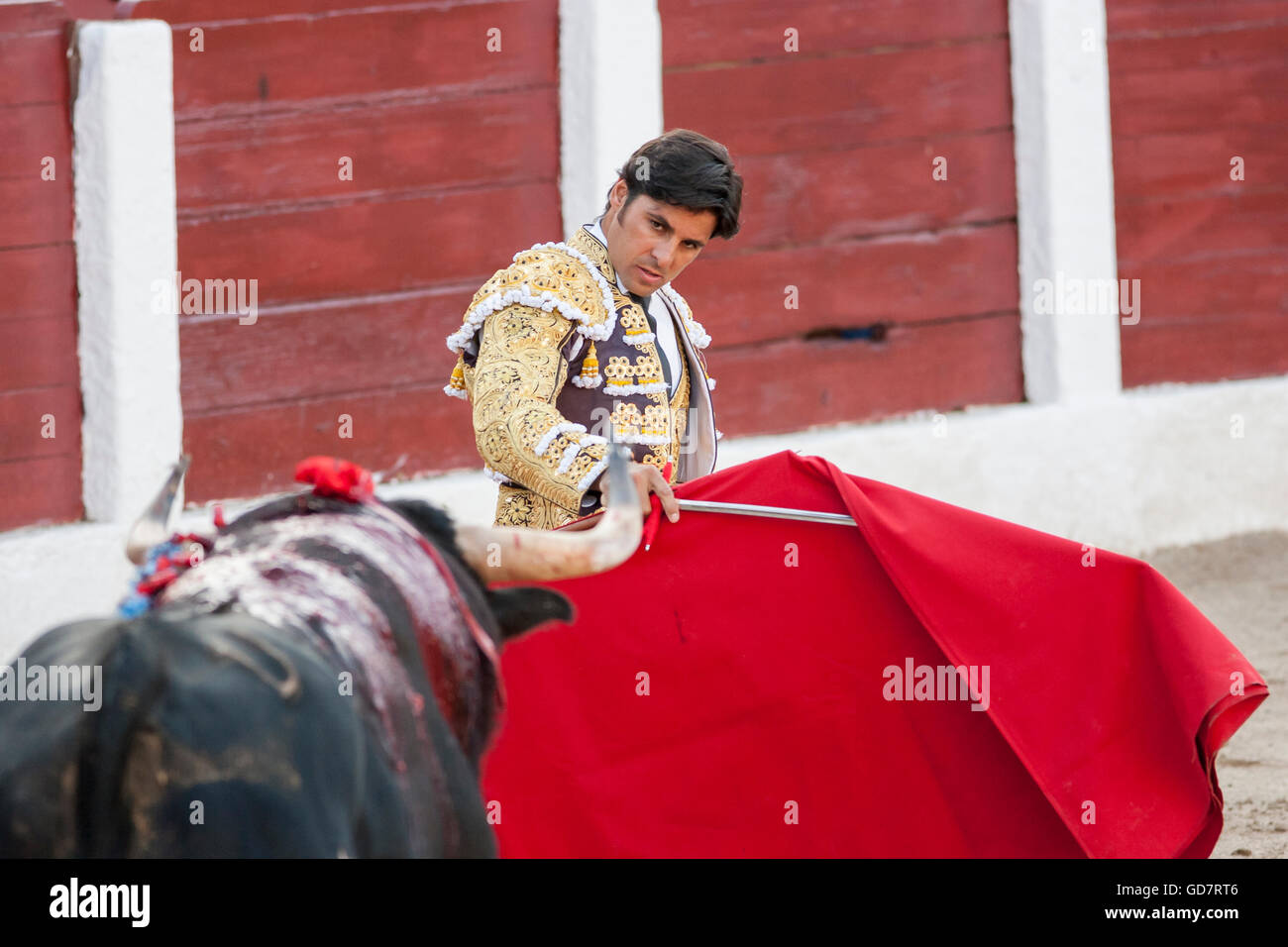 Spanish Bullfighter Francisco Ordoñez Paquirri bullfighting with the