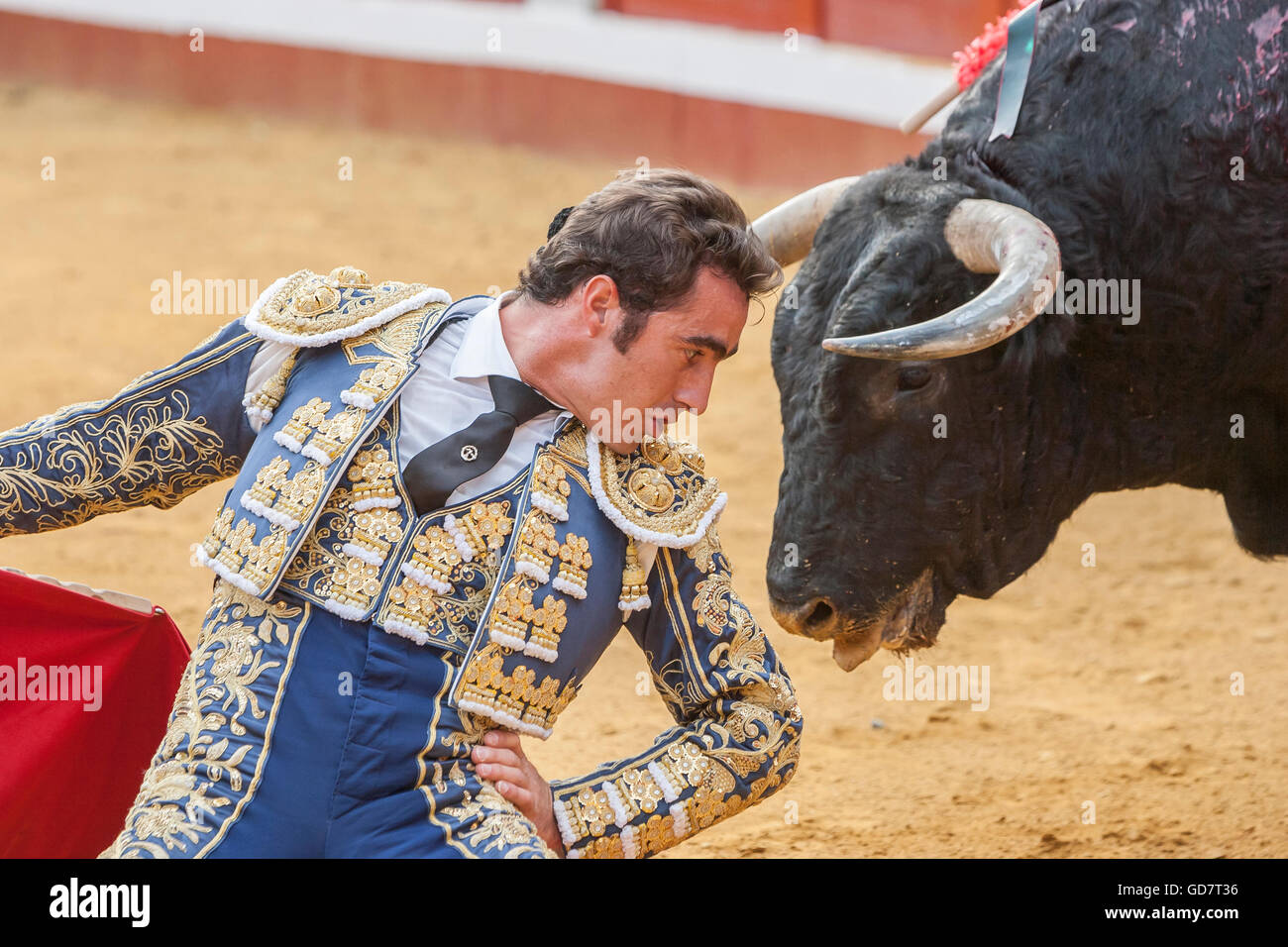 The Spanish Bullfighter David Fandila El Fandi bullfighting with the ...
