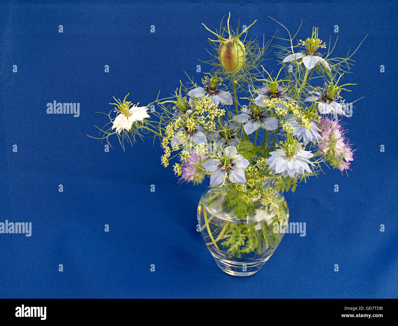 Bouquet wild flowers isolated hi-res stock photography and images - Alamy