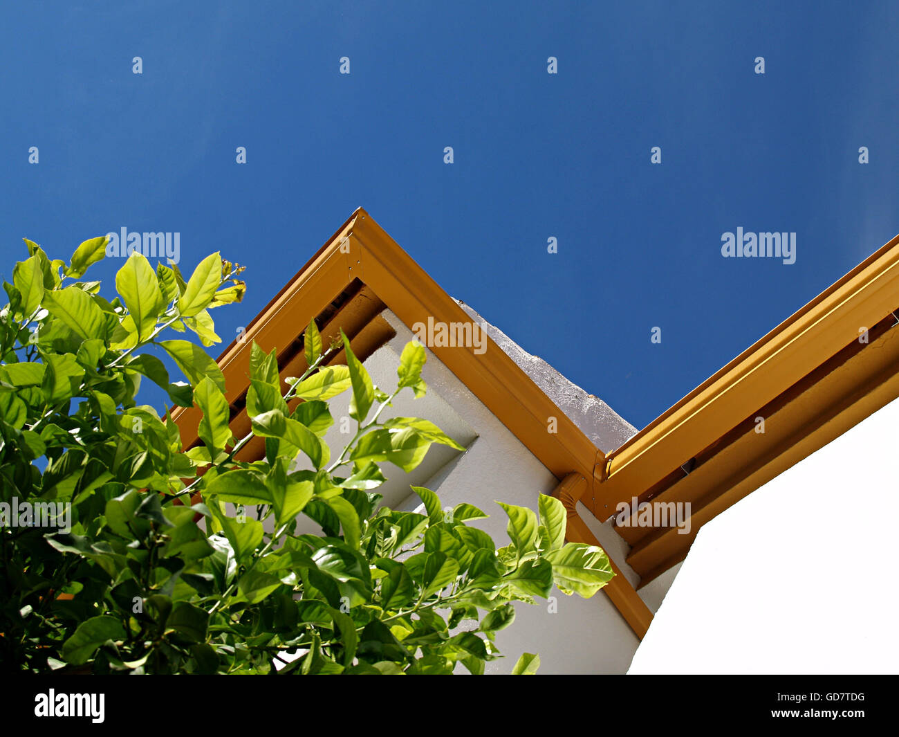 Yellow Roof Construction Blue Sky Branch Stock Photos Yellow