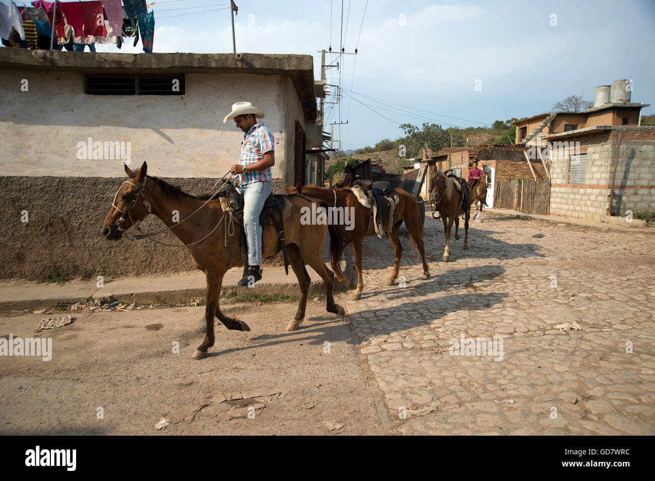 A Cuban guarjiro or cowboy taking his horses home after taking tourist on horseback tour of the countryside in Trinidad Cuba Stock Photo