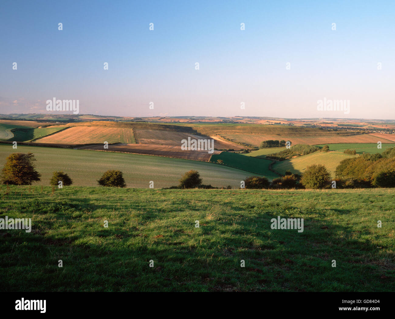 Maiden Castle hill fort. A distant view from the south showing the full east west expanse of the extended Iron Age fort. Dorset, England, UK Stock Photo