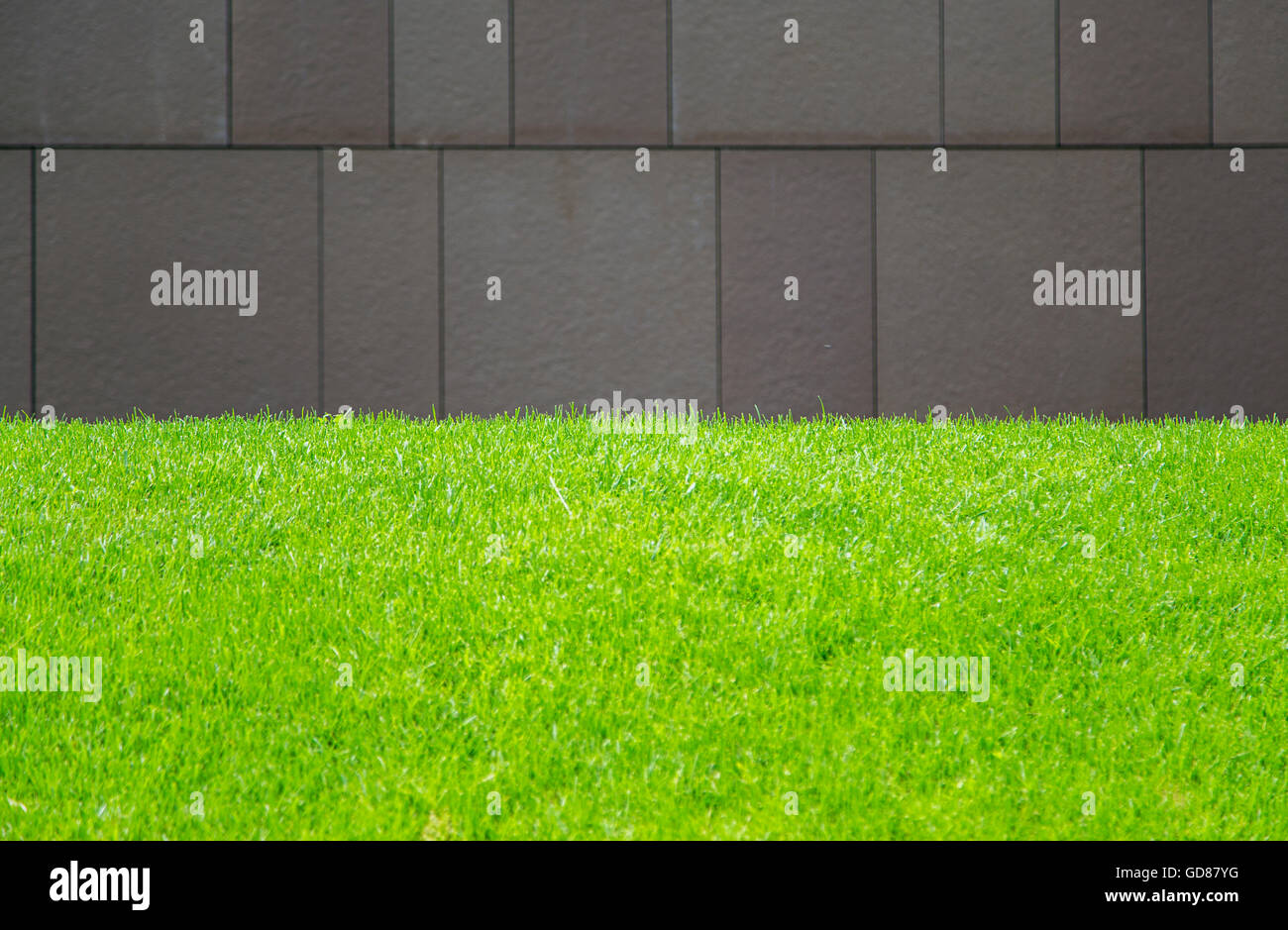 Detail of green grass and stone wall Stock Photo - Alamy