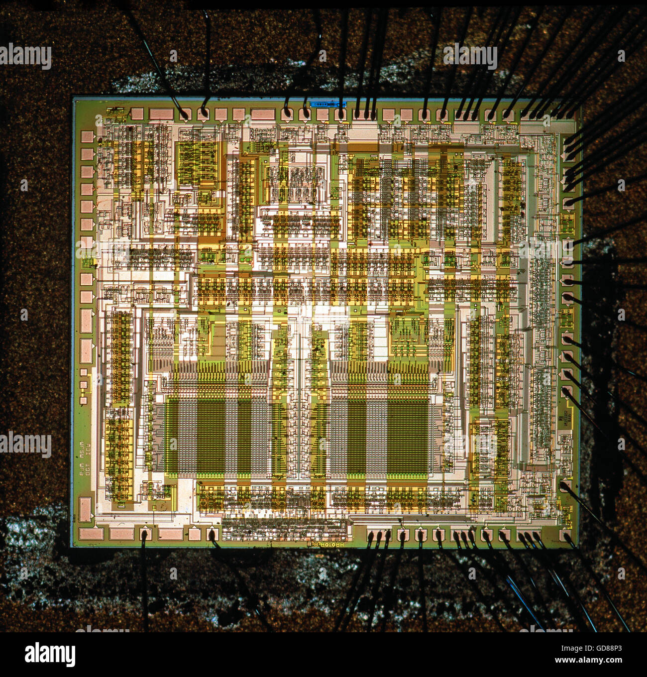 Semi conductor silicon chip integrated circuit Stock Photo