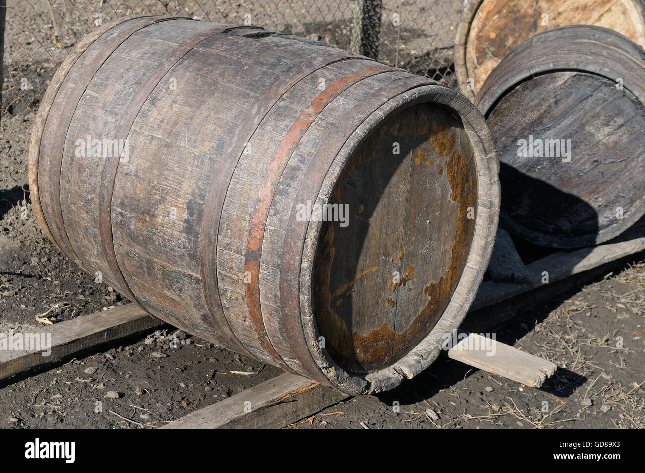 old oak barrels for wine Stock Photo Alamy