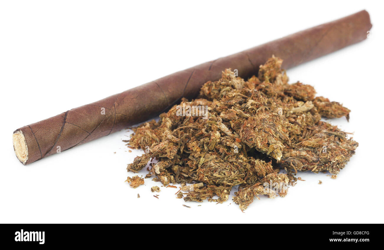 tobacco bud Cigarette bud hi-res stock photography and images