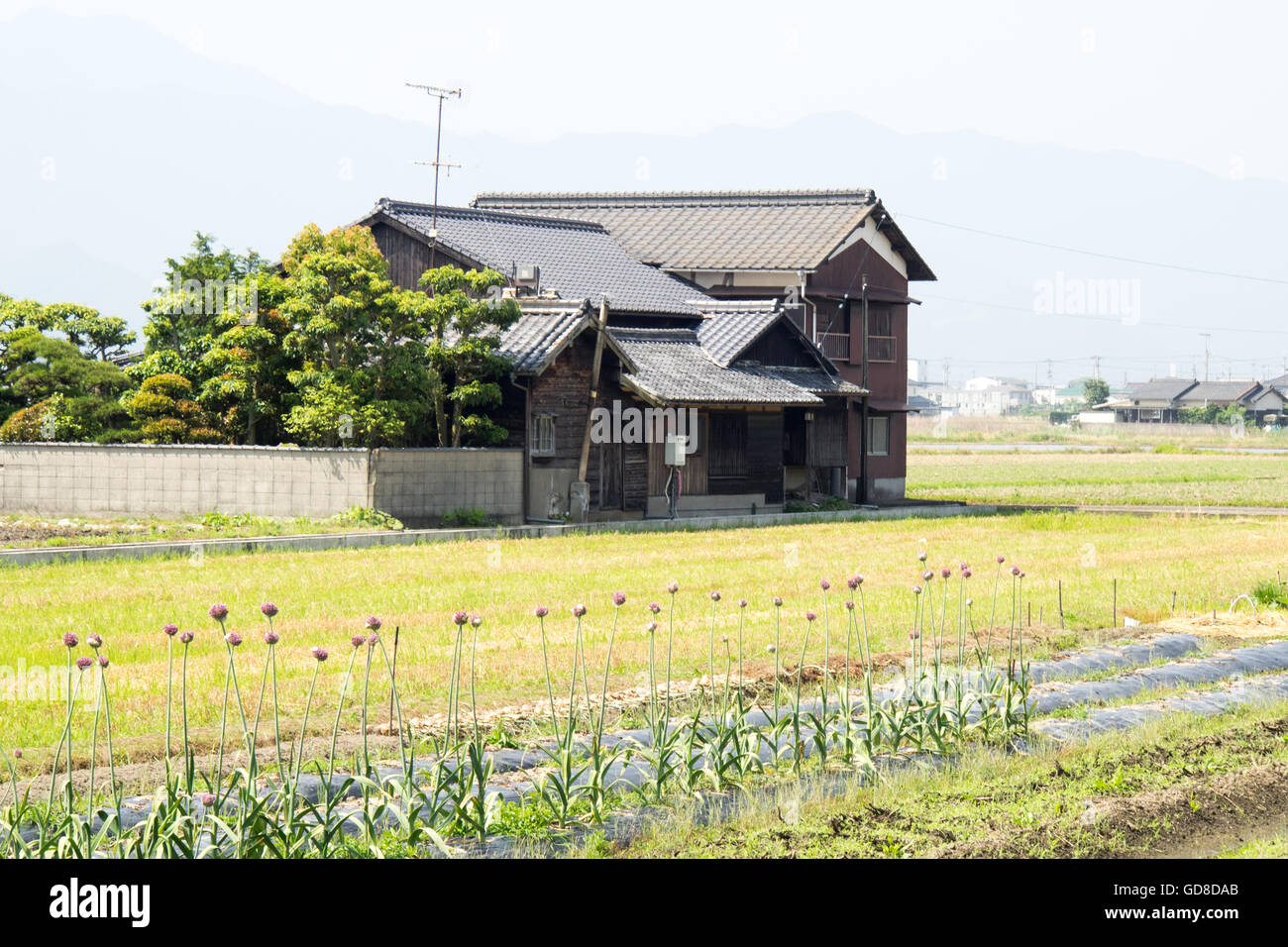 A traditional wooden Japanese house. Stock Photo