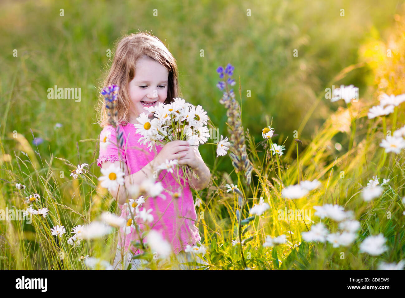Little Girl Picking Wild Flowers In A Field Stock Photo ...