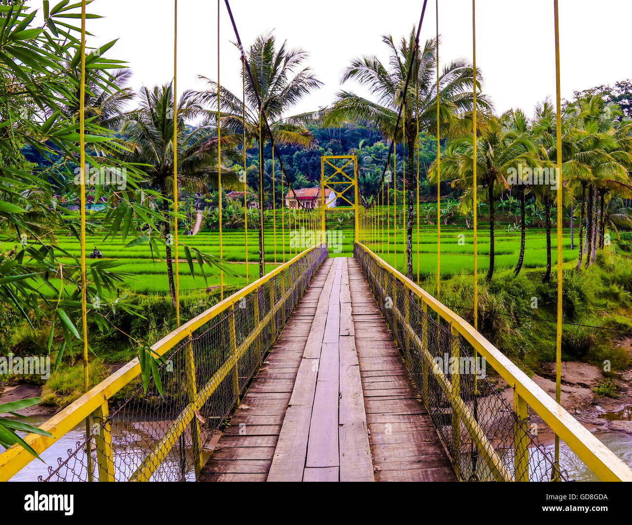 indonesian landscape Stock Photo - Alamy