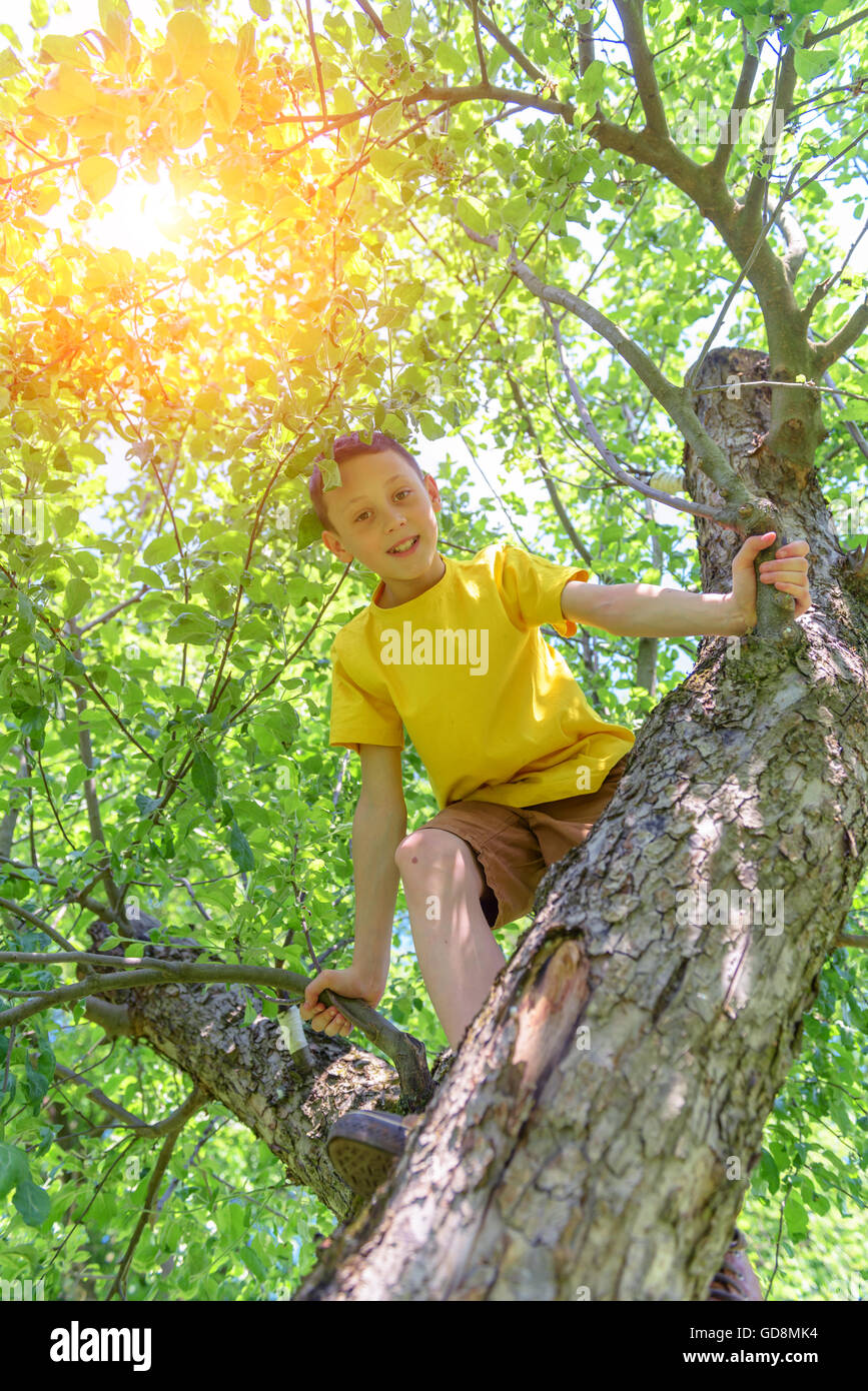Smiling boy on tree. Summer time! Stock Photo