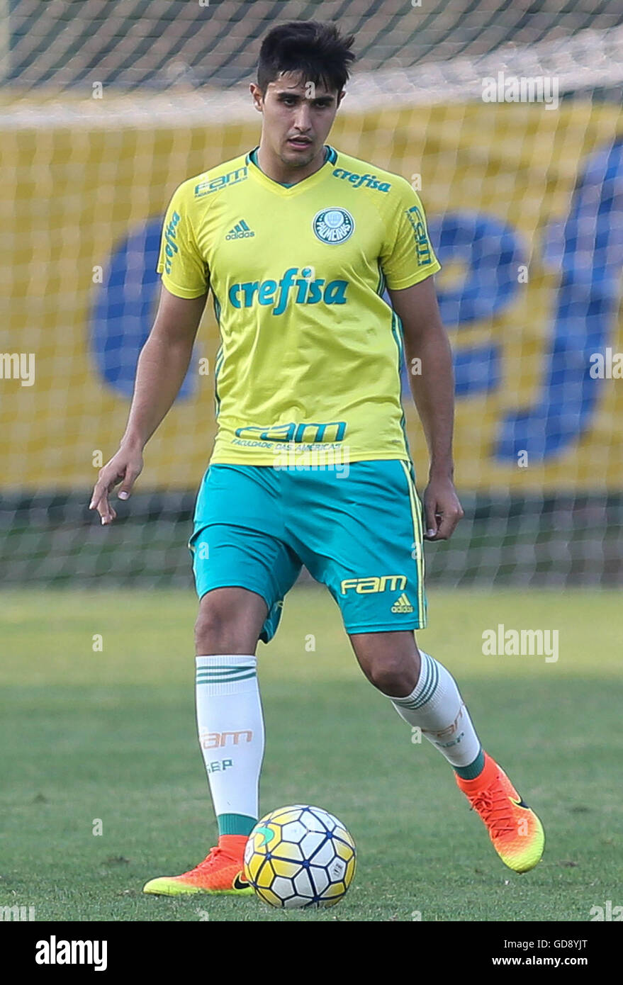 The Player Thiago Martins From Se Palmeiras During Training The Football Academy Stock Photo Alamy