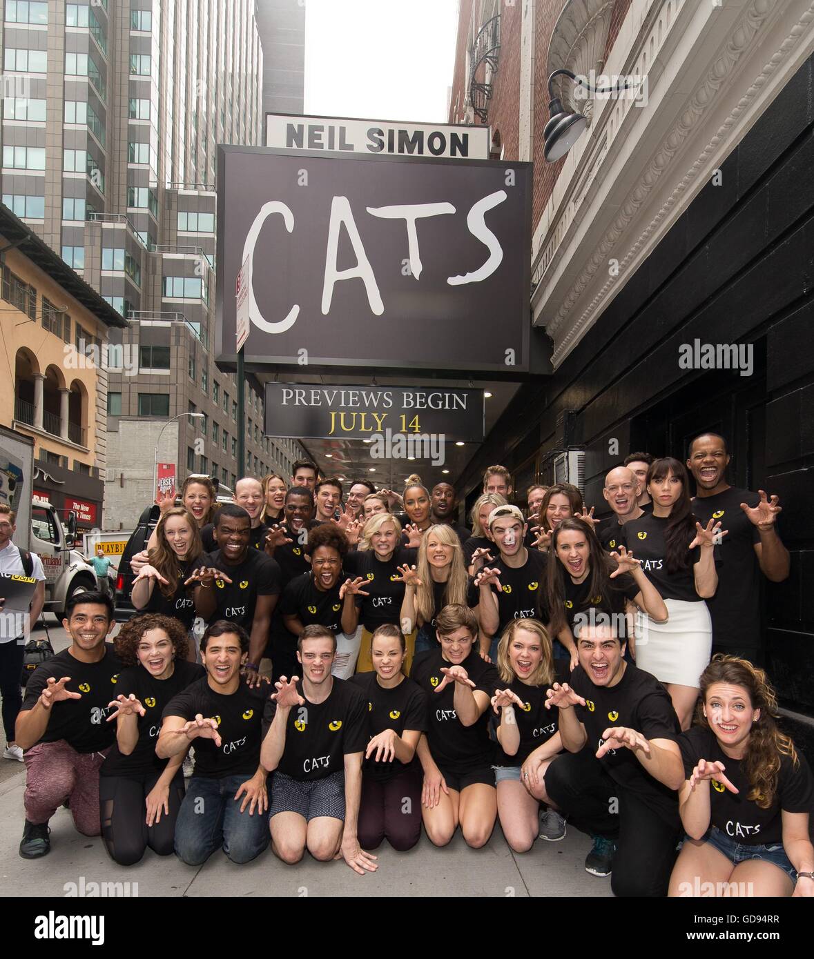 Cats Broadway Cast 2016 We Love Cats We Hate Cats The New York Times