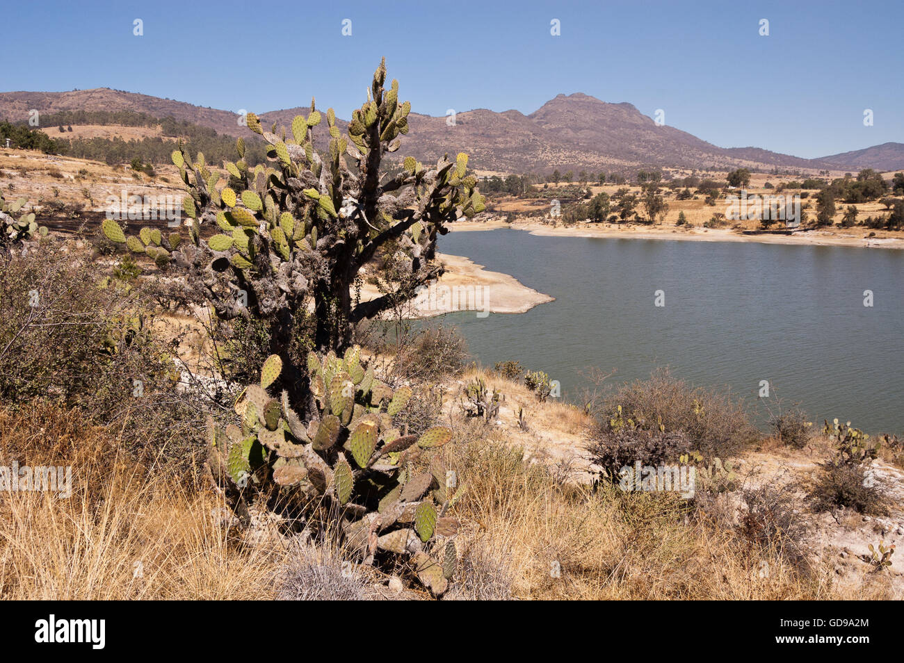 Mexican landscape Stock Photo