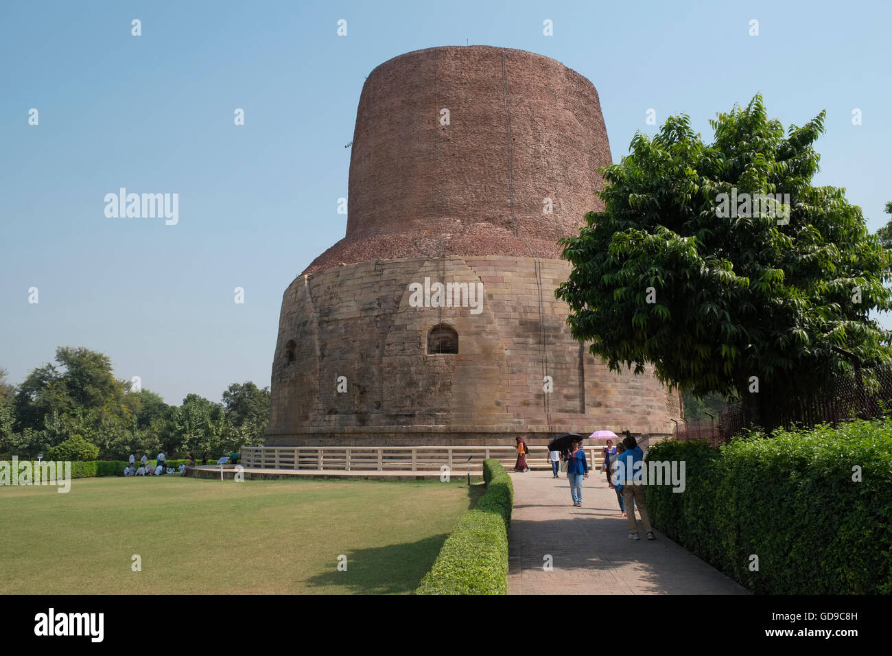 The Dhamekh Stupa in the Deer Park, Sarnath, Varanasi, Uttar Pradesh, India. Stock Photo