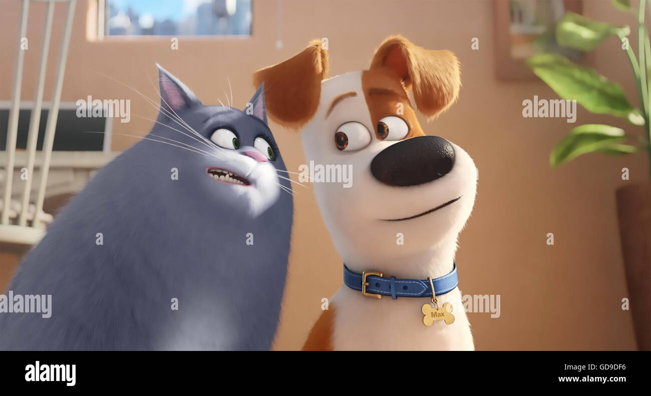 The secret life of pets hi-res stock photography and images - Alamy