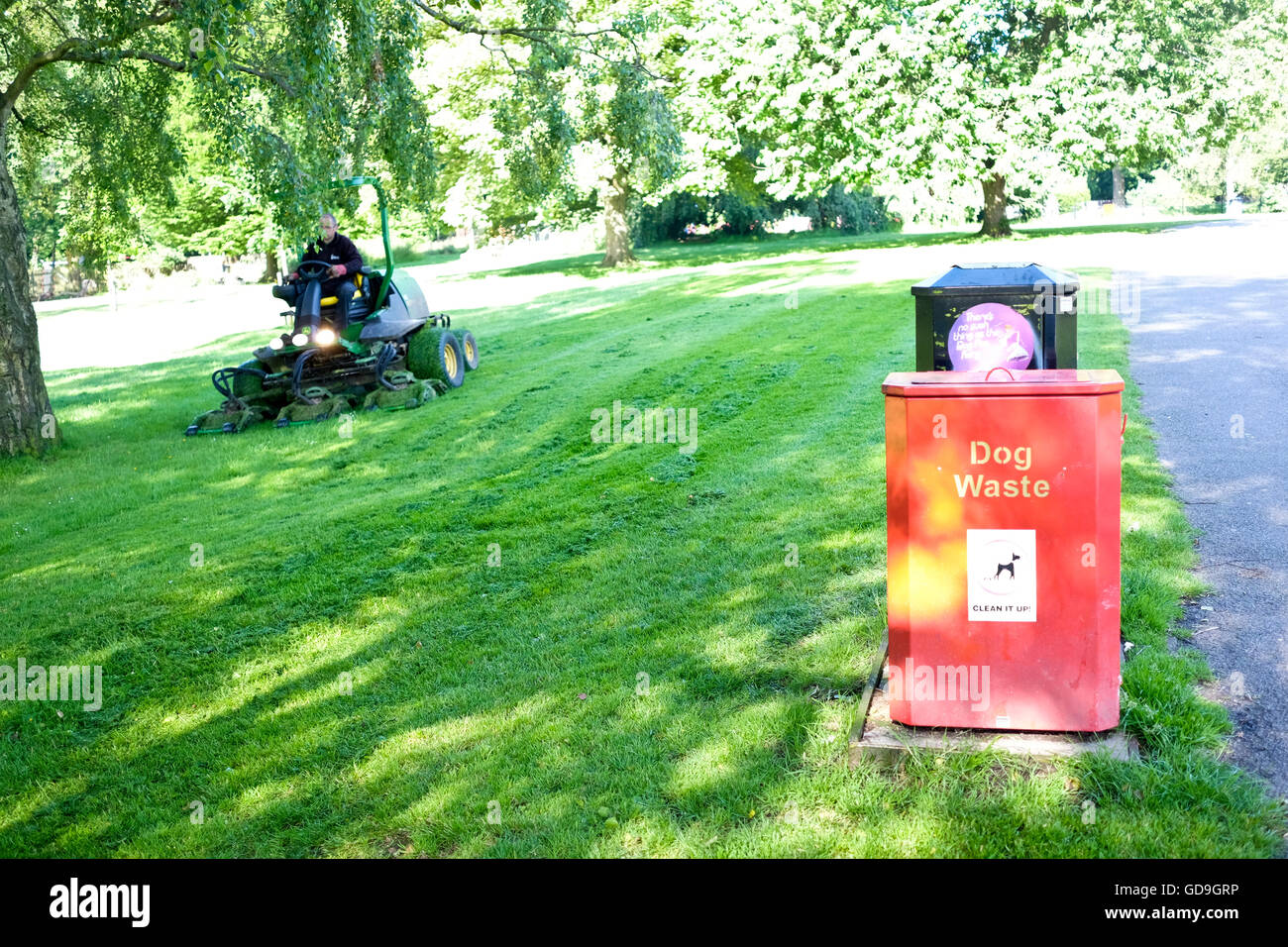 Will A Lawn Mower Pick Up Dog Poop